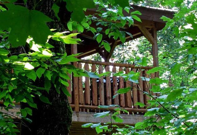 #2903 Abundantly Blessed Villa Pigeon Forge Eksteriør billede